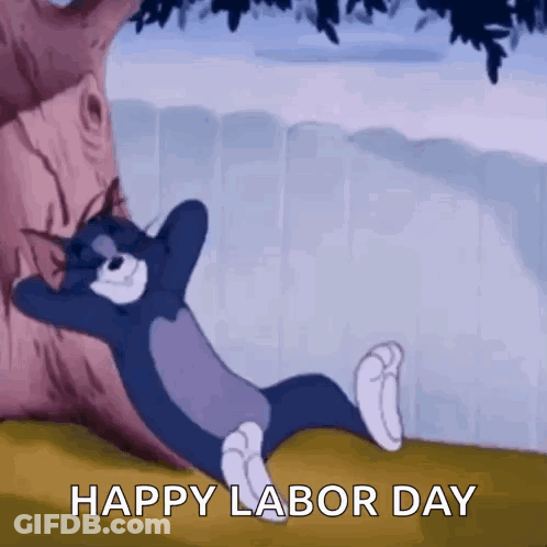 Cat In Patriotic Hat Happy Labor Day GIF