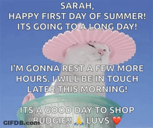 Cat In Pink Hat Happy First Day Summer GIF