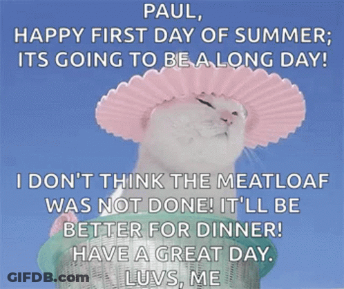 Cat In Pink Hat Paul Happy First Day Of Summer GIF