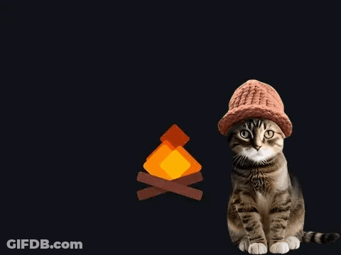 Cat In Pink Hat Sitting By Campfire GIF