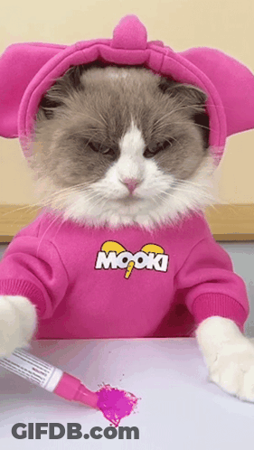 Cat In Pink Mook Sweater Playing With Marker GIF