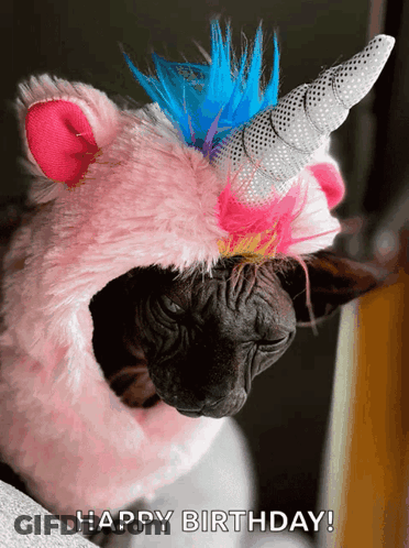 Cat In Pink Unicorn Costume Saying Happy Birthday GIF