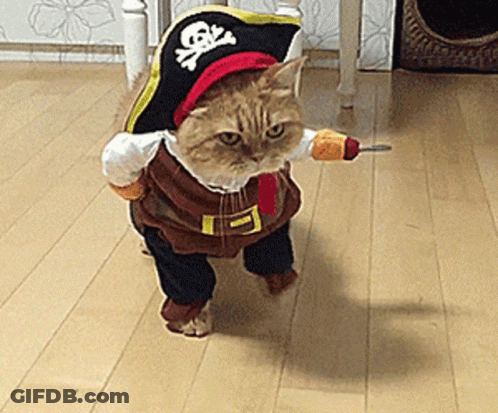 Cat In Pirate Costume Holding Knife GIF