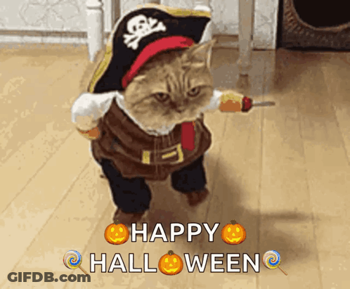 Cat In Pirate Costume Saying Happy Halloween GIF