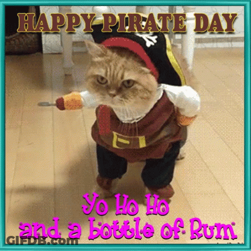 Cat In Pirate Costume Saying Happy Pirate Day GIF