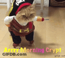 Cat In Pirate Costume With Sword GIF
