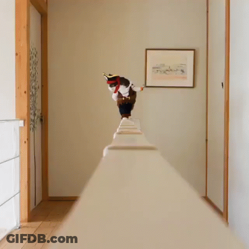 Cat In Pirate Hat Standing On Railing GIF