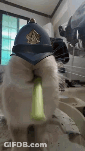 Cat In Police Helmet Playing With Green Object GIF