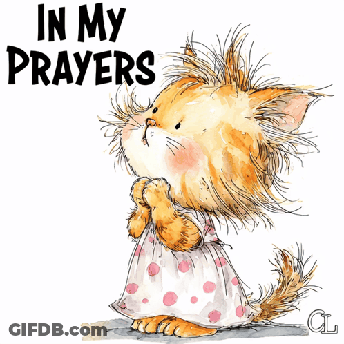Cat In Polka Dot Dress Praying In My Prayers GIF