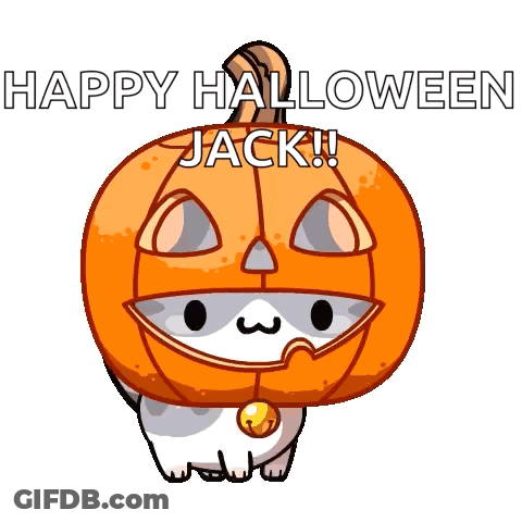 Cat In Pumpkin Head Saying Happy Halloween Jack GIF