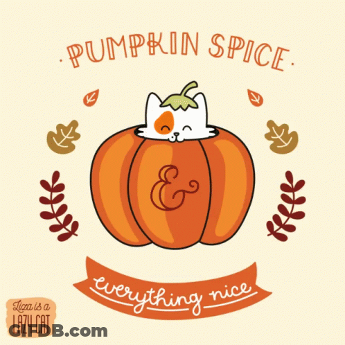 Cat In Pumpkin Saying Pumpkin Spice Everything Nice GIF