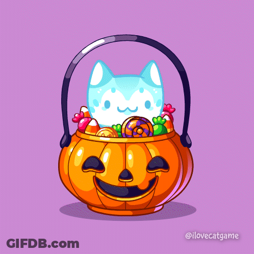 Cat In Pumpkin With Halloween Candy GIF