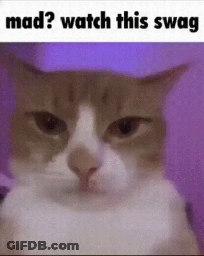 Cat In Purple Hat Looking With Mad Watch This Swag GIF