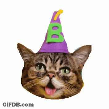 Cat In Purple Party Hat With Green B GIF