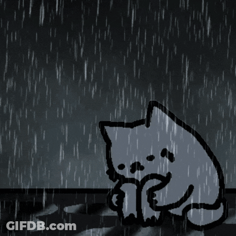 Cat In Rain Drawing GIF