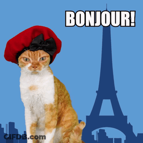 Cat In Red Beret Bonjour GIF