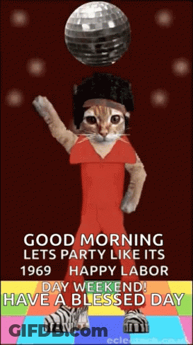 Cat In Red Dress Dancing GIF