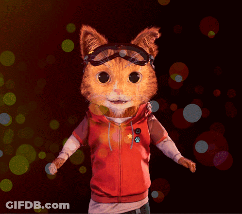 Cat In Red Hoodie And Goggles GIF