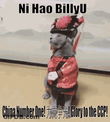 Cat In Red Jacket And Hat GIF