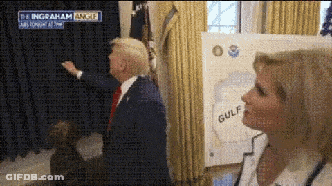 Cat In Red White Striped Tie On Couch GIF