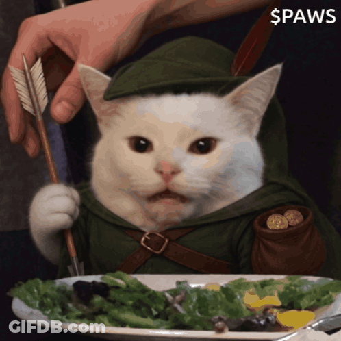 Cat In Robin Hood Costume Holding Arrow Over Salad GIF