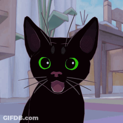 Cat In Robin Hood Costume Holding Arrow Over Salad GIF