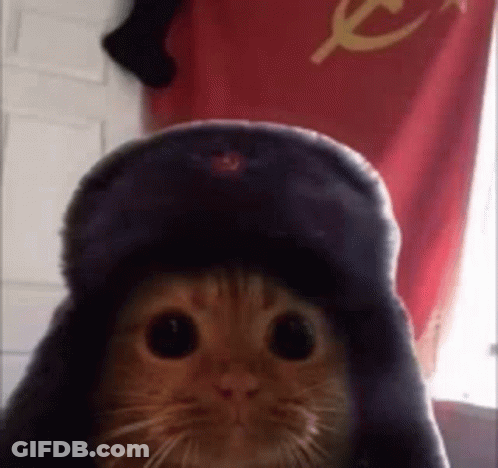 Cat In Russian Hat GIF