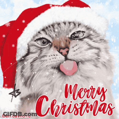 Cat In Santa Hat Merry Christmas GIF