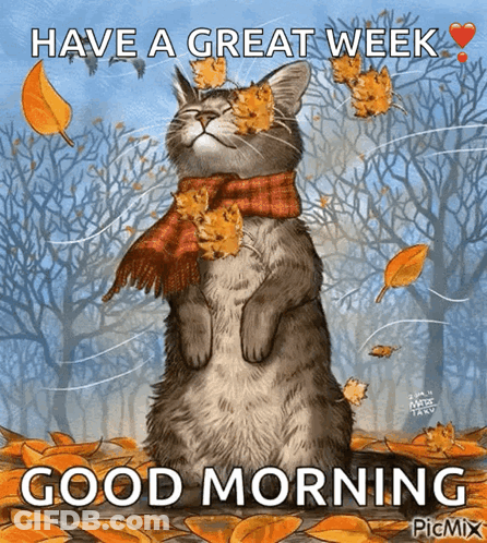 Cat In Scarf And Leaves Saying Have A Great Week Good Morning GIF