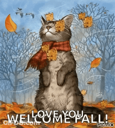 Cat In Scarf Autumn Leaves Welcome You Fall GIF