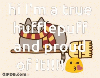 Cat In Scarf Saying Hi I'm A True Hufflepuff GIF