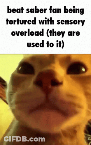 Cat In Sensory Overload GIF