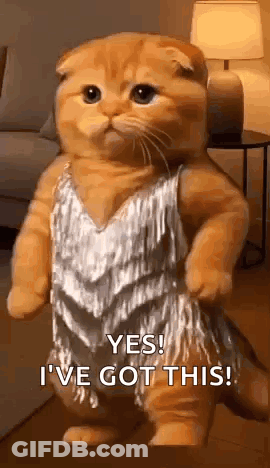 Cat In Silver Dress: Yes I've Got This GIF