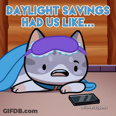Cat In Sleep Mask Daylight Savings Had Us Like GIF