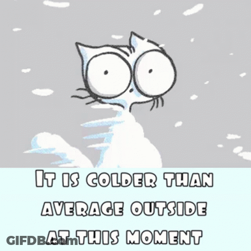 Cat In Snow Saying It Is Colder Than Average Outside At This Moment GIF