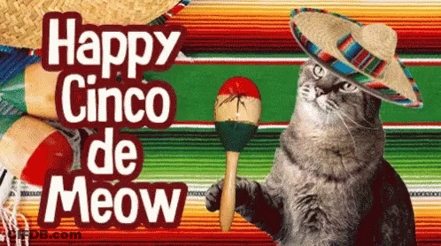 Cat In Sombrero Holding Maraca Happy Cinco De Meow GIF