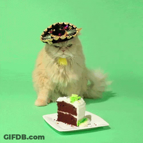 Cat In Sombrero Looking At Cake GIF