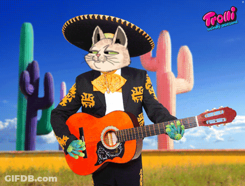 Cat In Sombrero Playing Guitar GIF