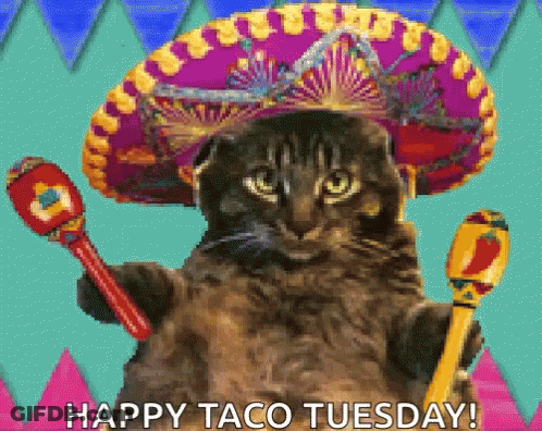 Cat In Sombrero With Maracas Says Happy Taco Tuesday GIF