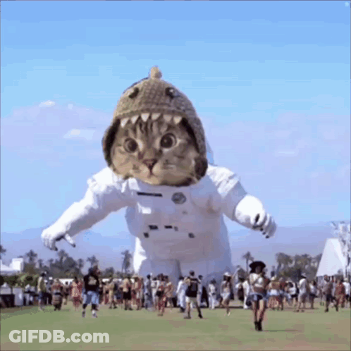 Cat In Space Suit And Shark Hat GIF