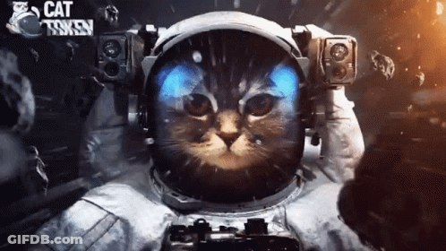 Cat In Space Suit With Cat Token GIF