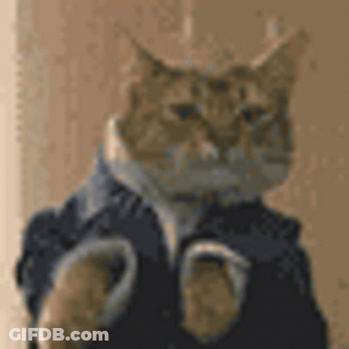 Cat In Suit And Tie Standing Next To Wall GIF