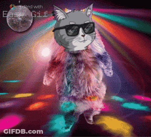 Cat In Sunglasses And Fur Coat Dancing GIF