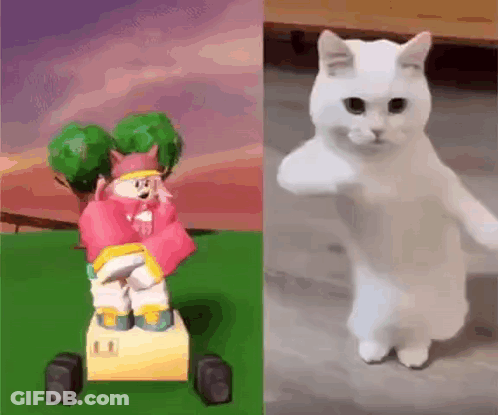 Cat In Sunglasses And Hat Playing DJ Set GIF