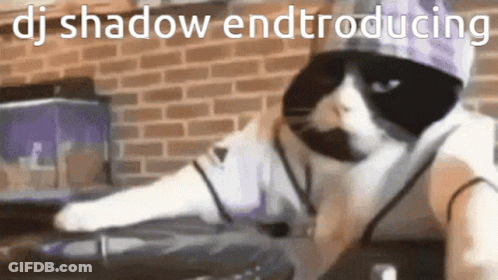 Cat In Sunglasses And Hat Playing DJ Set GIF