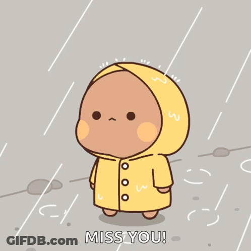 Cat In Sunglasses And Red Jacket Walking GIF