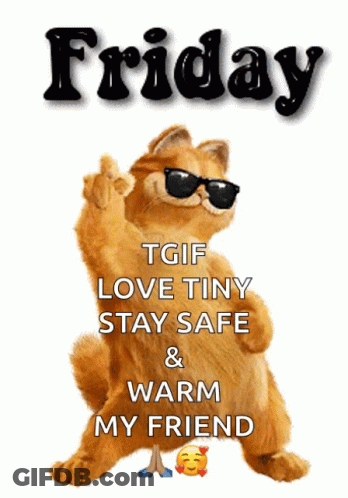 Cat In Sunglasses Friday TGIF GIF