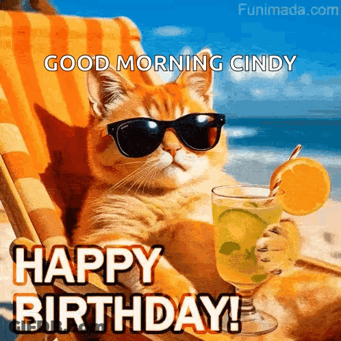 Cat In Sunglasses On Beach Chair With Drink And Orange GIF