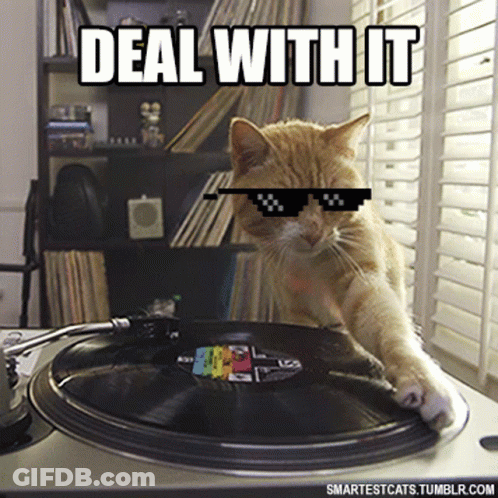 Cat In Sunglasses Playing Record Saying Deal With It GIF