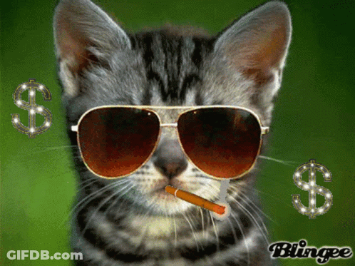 Cat In Sunglasses Smoking Cigarette With Dollar Signs GIF